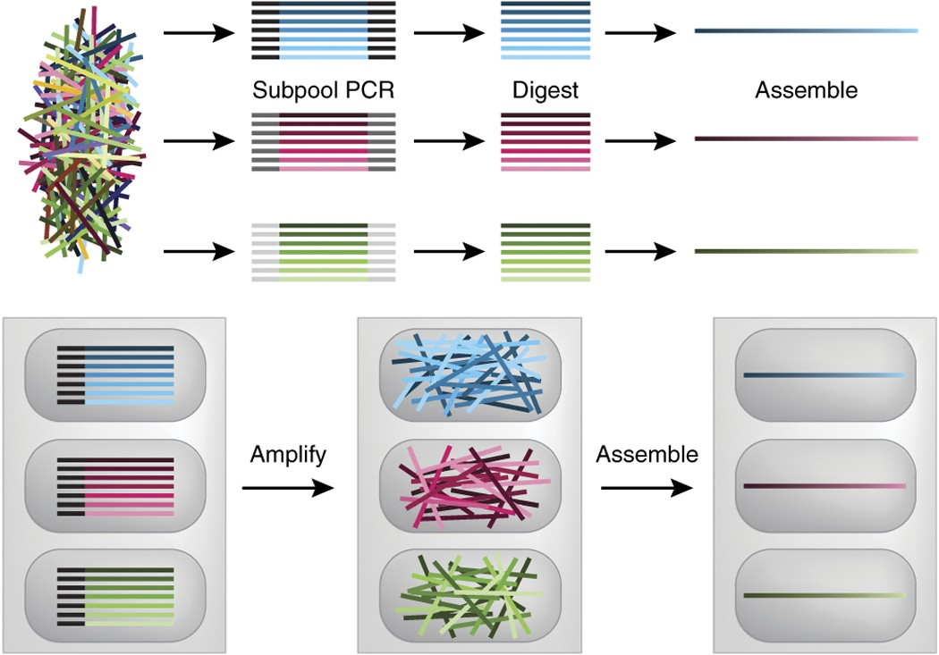 处理微阵列寡核苷酸复杂性的不同策略