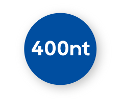 400nt